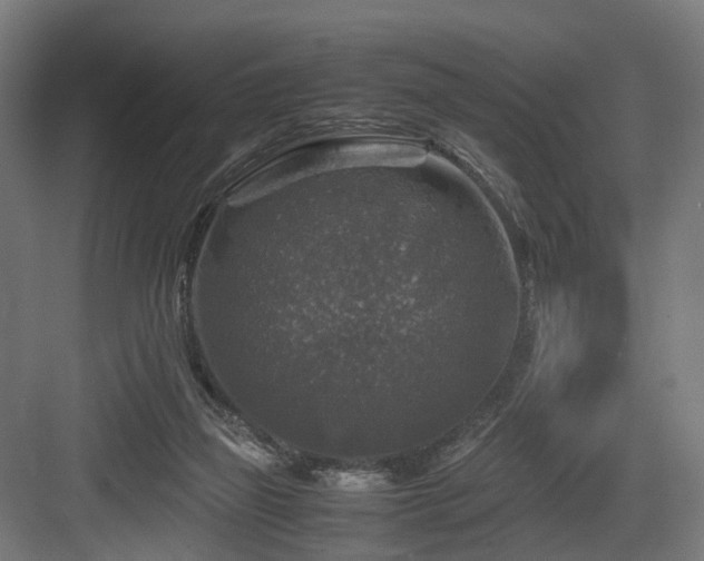 X0000083640165200702121133