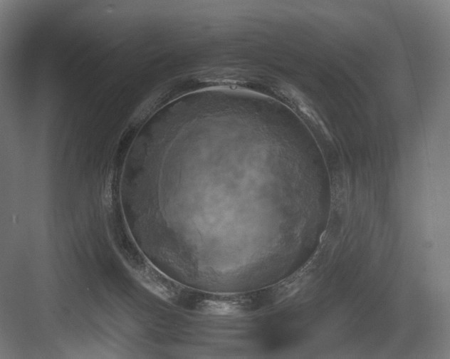 X0000083640167200702121133