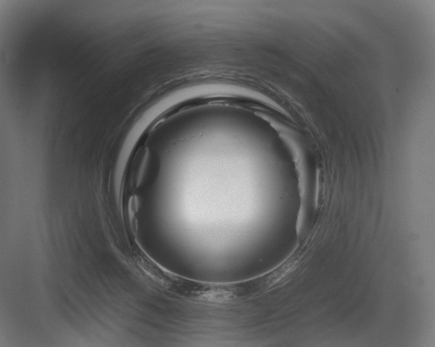 X0000083640168200702121133