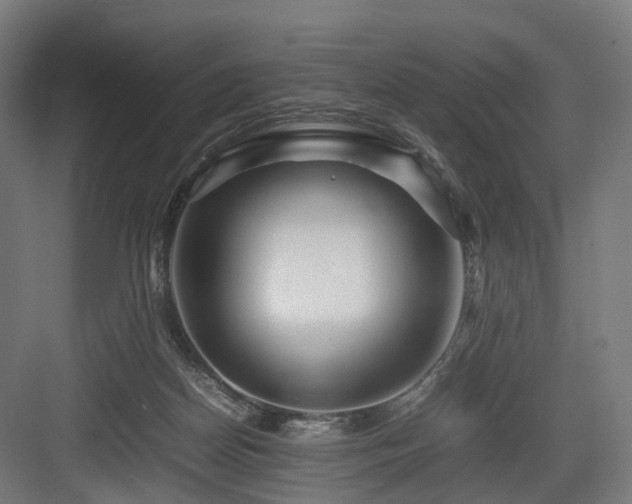 X0000083640170200702121133