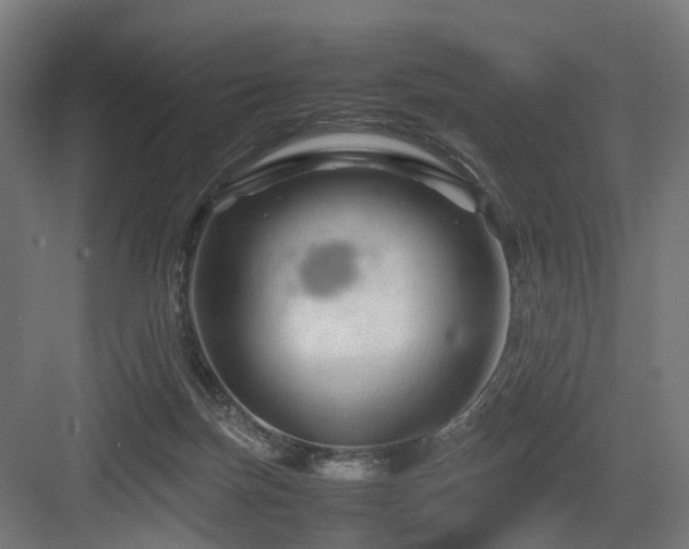 X0000083640171200702121133