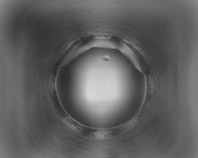 X0000083640172200702121133