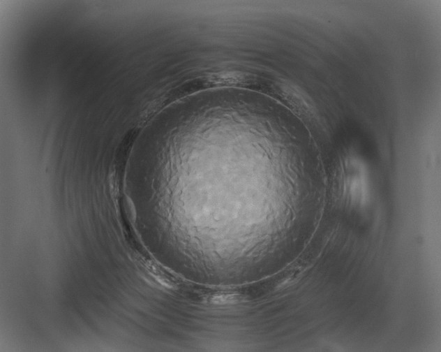 X0000083640173200702121133