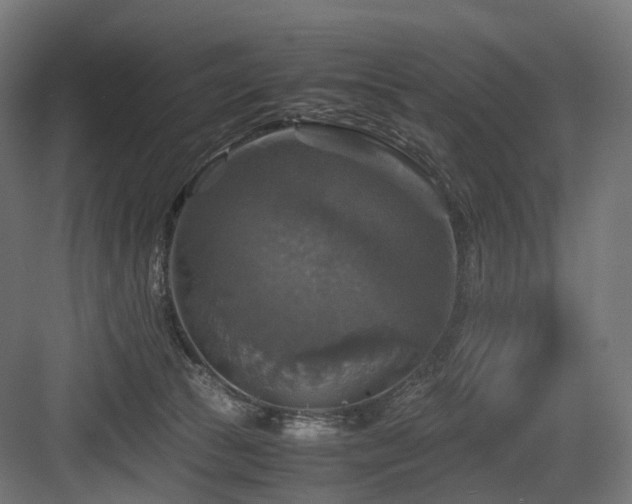 X0000083640177200702121133
