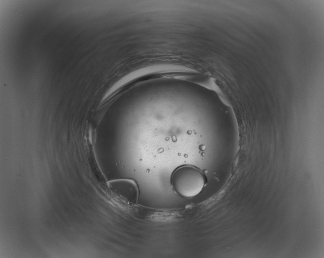 X0000083640179200702121133