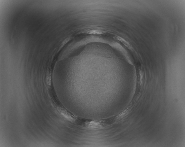 X0000083640180200702121133