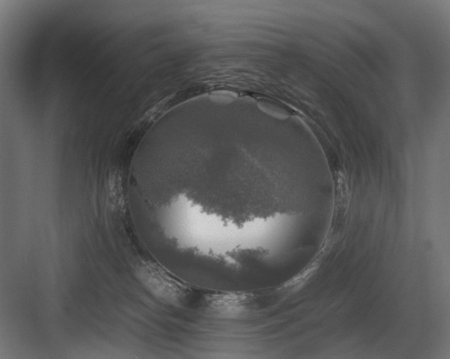 X0000083640182200702121133