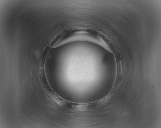 X0000083640184200702121133