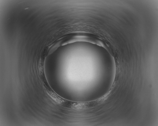 X0000083640186200702121133