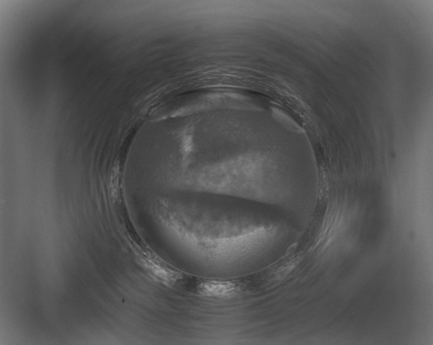 X0000083640189200702121134