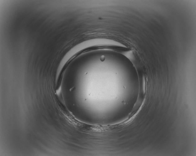 X0000083640190200702121134