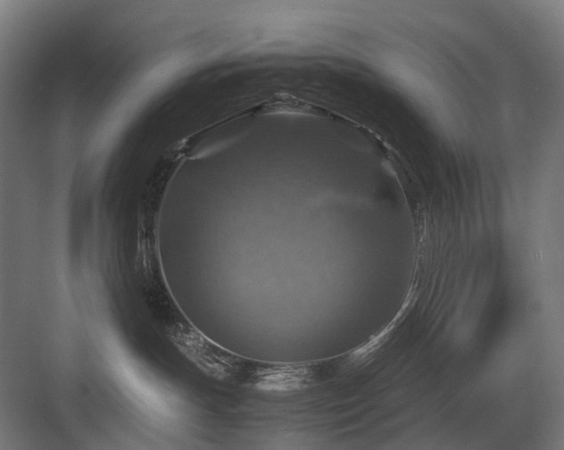 X0000083640191200702121134