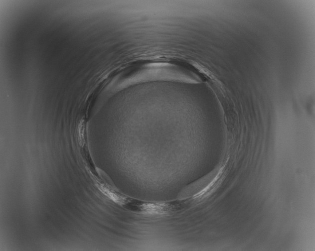 X0000083640192200702121134