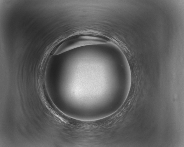 X0000083640193200702121133