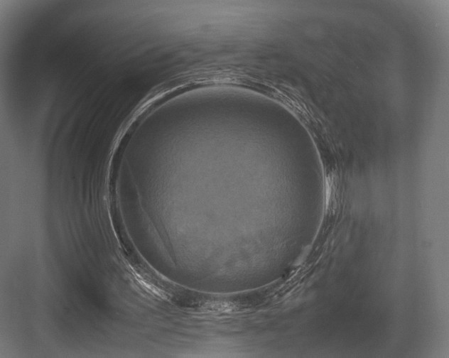 X0000083640195200702121133