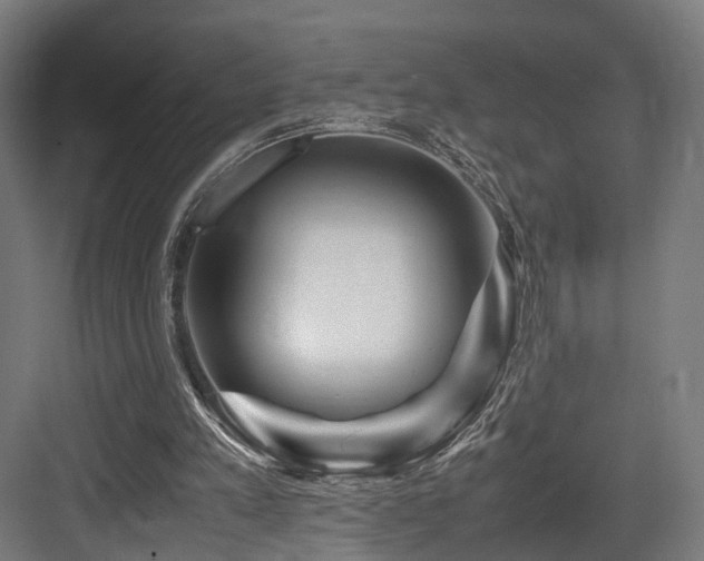 X0000083640197200702121133