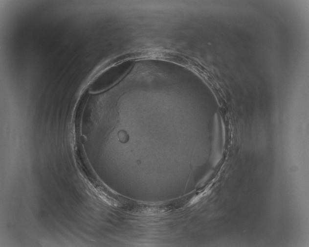 X0000083640198200702121133