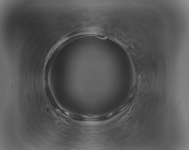 X0000083640200200702121133