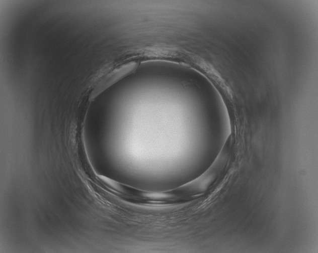 X0000083640201200702121133