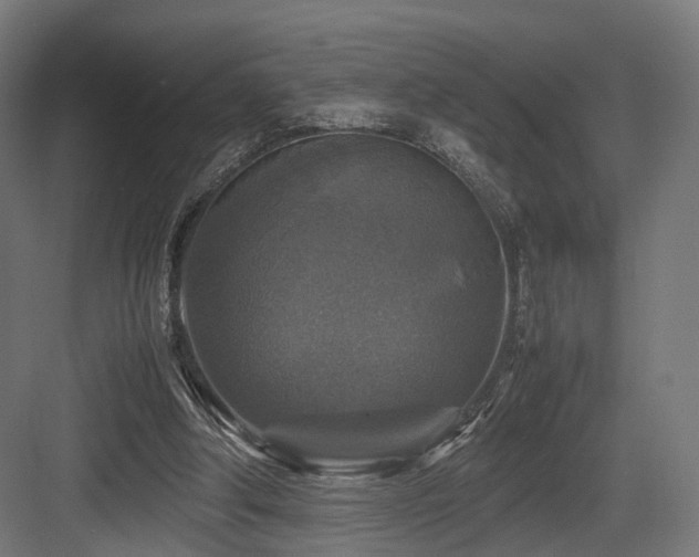 X0000083640202200702121133