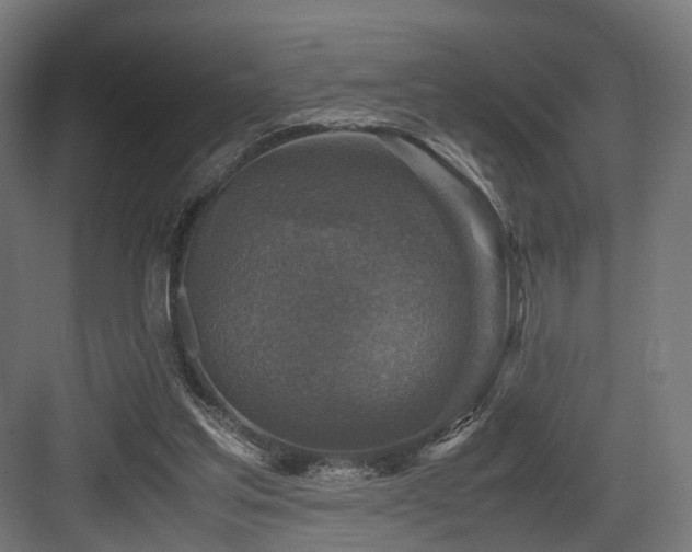 X0000083640205200702121133