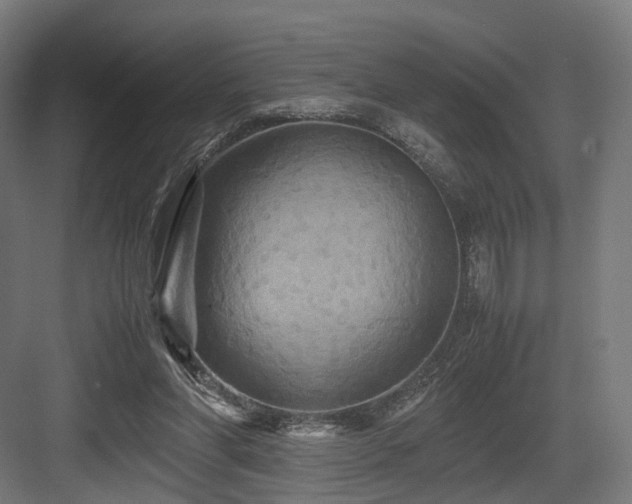 X0000083640206200702121133