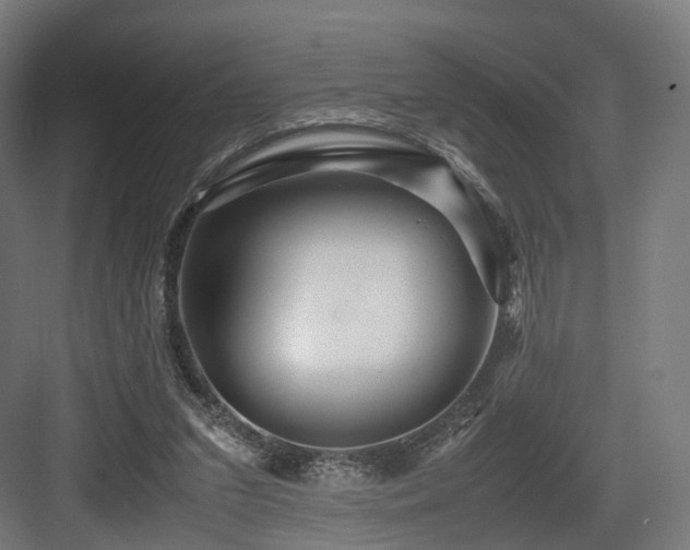 X0000083640207200702121133