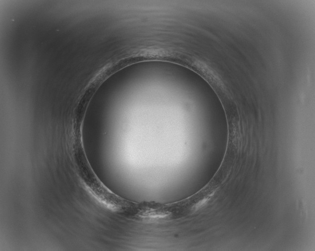 X0000083640208200702121133