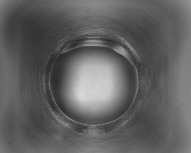 X0000083640209200702121133