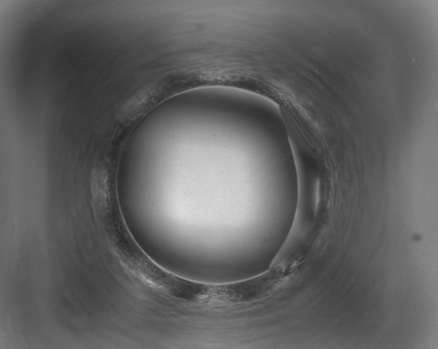 X0000083640211200702121132