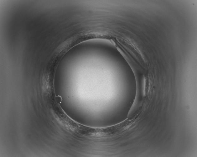 X0000083640212200702121132