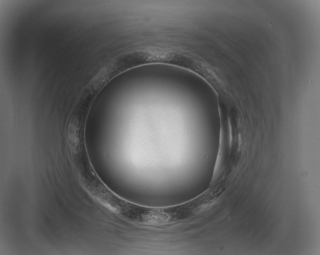 X0000083640215200702121132
