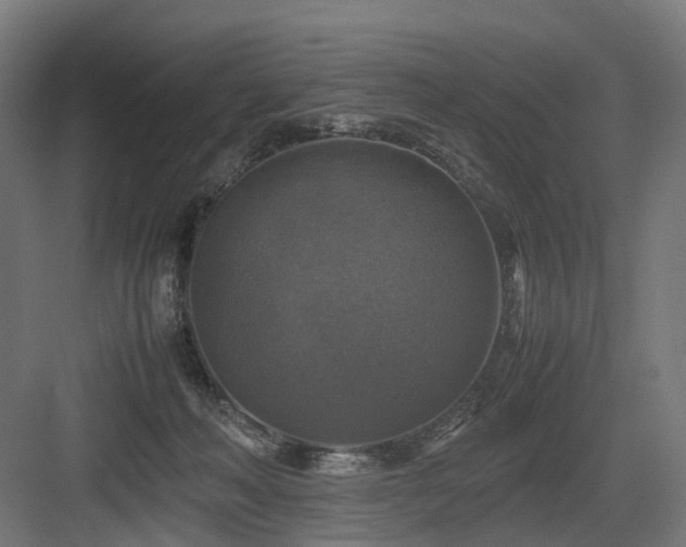 X0000083640222200702121132