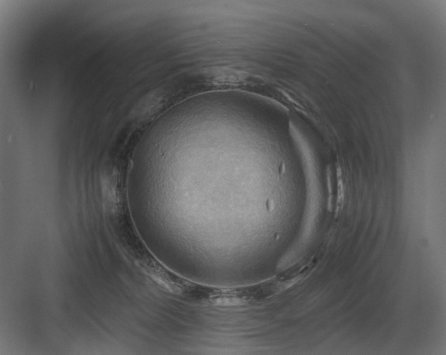 X0000083640228200702121132