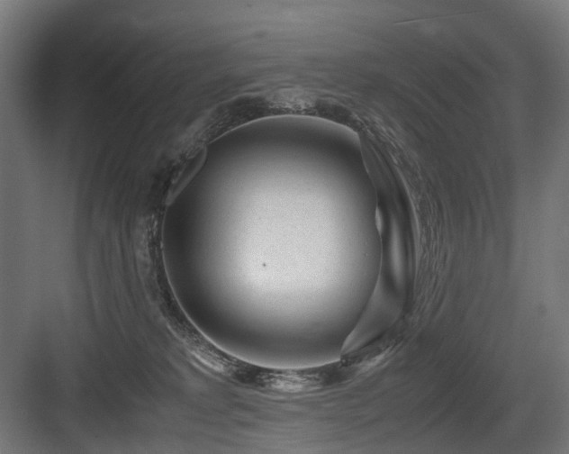 X0000083640229200702121132