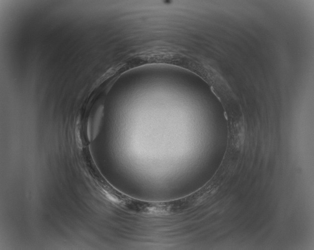 X0000083640232200702121132