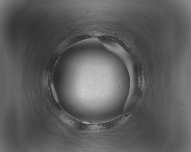 X0000083640233200702121132