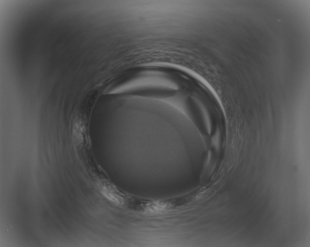 X0000083640235200702121132
