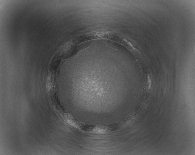 X0000083640236200702121132