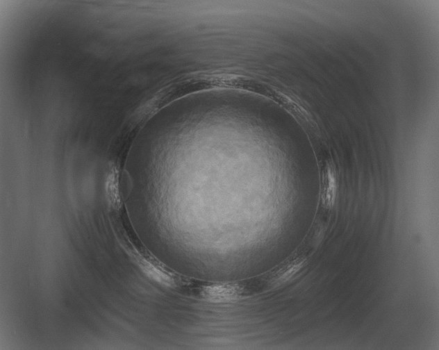 X0000083640238200702121132