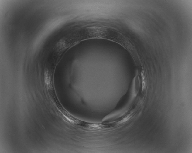 X0000083640239200702121132