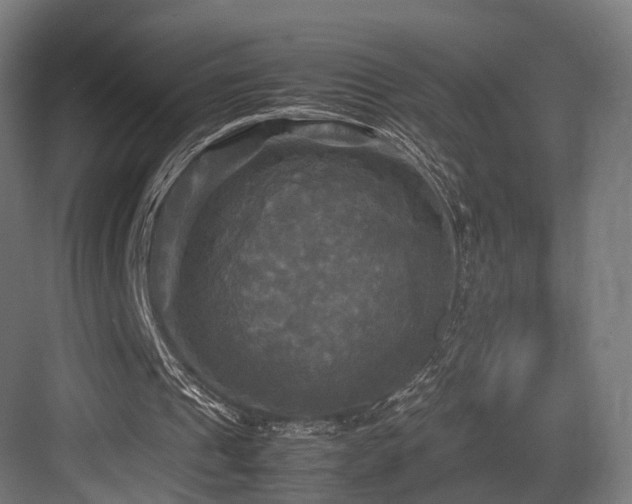 X0000083640241200702121131