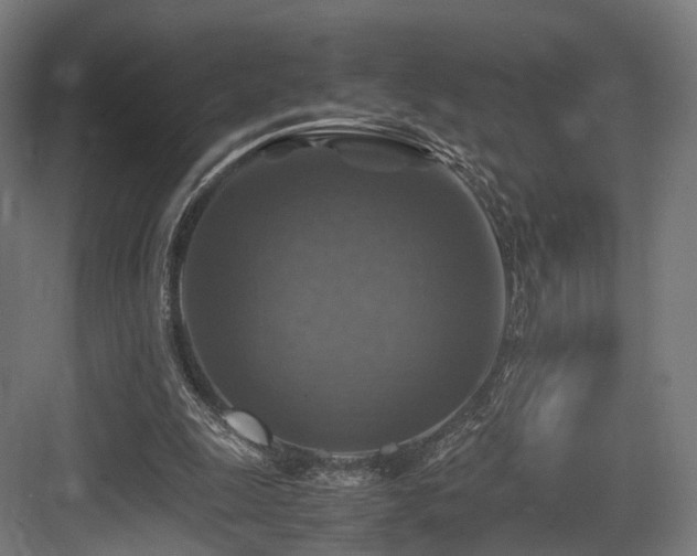 X0000083640247200702121131