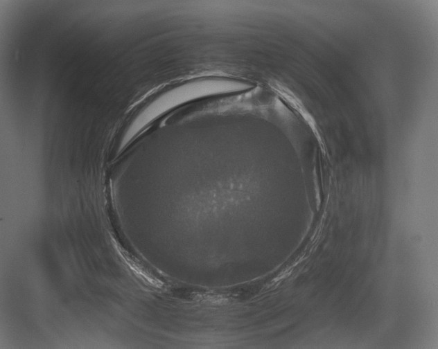 X0000083640249200702121131