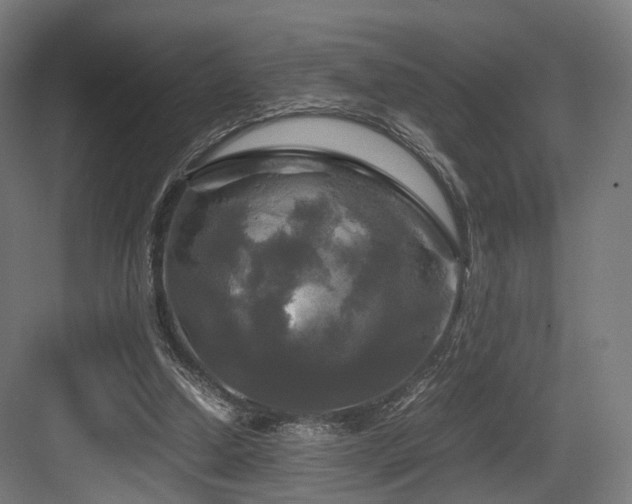 X0000083640250200702121131