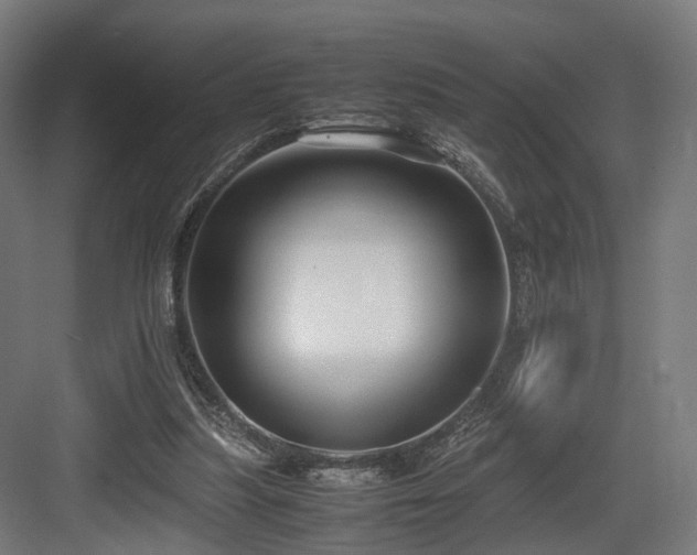 X0000083640251200702121131
