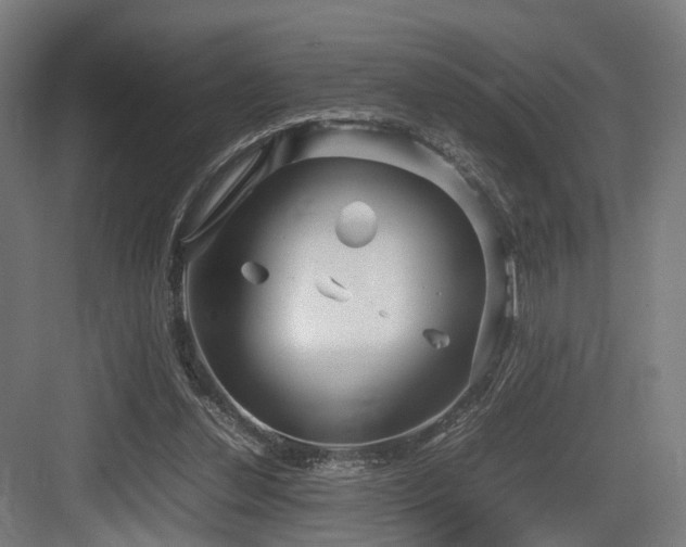 X0000083640252200702121131