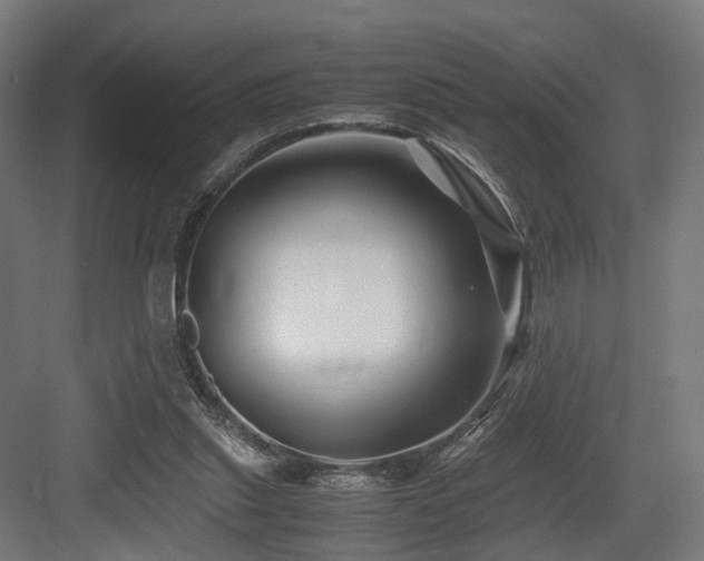 X0000083640253200702121131