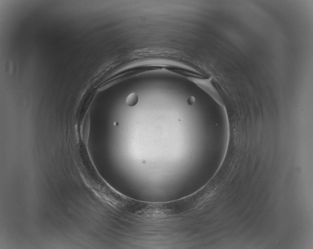 X0000083640254200702121131