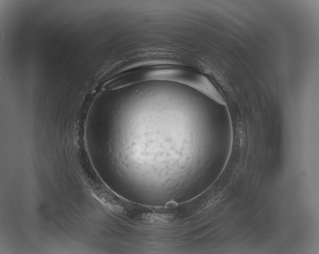 X0000083640255200702121131